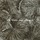 Papier peint Zoffany - Taisho Deco - rf: 312749 Fossil