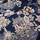 Tissu Edmond Petit - Lampas Chinois - rf: 13404.001 Bleu nuit