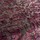Tissu Jab - Canaletto - rf: 1.4188.010