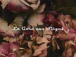 Tissu Zoffany - Countess - rf: 322661 Twilight ( dtail )