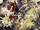 Tissu Jean Paul Gaultier - Flower Power - rf: 3497.02 Mordor