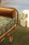 Tissu Mtaphores - Natte - rf: 71500.003 Algue