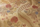 Tissu Fadini Borghi - Firenze - réf: I6666.001 Oro ( détail )