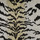 Tissu Nobilis - Velours Tiger - rf: 10496.02 Crme