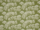Tissu Jim Thompson - Bonsa� - r�f: J4005.003 Ivy