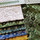Tissu Manuel Canovas - Marguerite