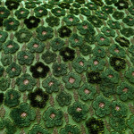 Tissu Manuel Canovas - Marguerite - rf: M4174.03 Foret