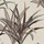 Tissu Casamance - Cration - rf: 4221.0367 Beige/Bleu rivire