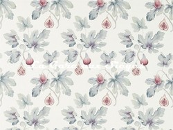 Tissu Sanderson - Fig Harvest - rf: 226330 Craie/Orchide