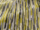 Tissu Pierre Frey - Aurone - rf: F3888.001 Anis