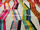 Tissu Pierre Frey - Carriacou ( dtail )