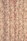 Tissu Lelivre - Phnomne - rf: 3236.02 Corail