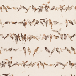 Tissu Chivasso - Birdsong - rf: CH2718/020 Noir