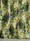 Tissu Pierre Frey - Vahin - rf: F3365.001 Tropical