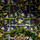 Tissu Pierre Frey - Les Singes savants - rf: F3604.002 Noir