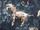 Tissu Donghia - Horses - rf: 10357.002 Blue ( dtail )