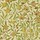 Papier peint Morris & Co - Fruit - rf: DGW1FU102 Lime Green/Tan