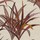 Tissu Casamance - Cration - rf: 4221.0108 Rose/Magenta
