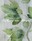 Tissu Sanderson - Fig Harvest - rf: 226329 Jardin vert ( dtail )