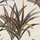 Tissu Casamance - Cration - rf: 4221.0236 Multico