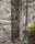 Tissu Pierre Frey - Safari - rf: F3989.001 Charbon