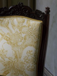 Tissu Braqueni - Chantonnay - rf: B7691.001 Miel