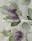 Tissu Sanderson - Fig Harvest - rf: 226327 Figue/Fort ( dtail )