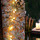 Tissu Jean Paul Gaultier - Sakura - rf: 3468.02 Dor