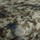 Tissu Chivasso - Far Horizon - rf: CH3134.030