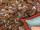 Tissu Pierre FREY - Origines - rf: F3023.001 Multicolore