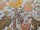 Tissu Casal - Madurai Lin - rf: 30422.7440 Or/Vert ( dtail )