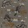 Tissu Chivasso - Nostalgia - rf: CH3255.020