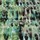 Tissu Harlequin - Kelambu - rf: 120608 Emerald/Lime ( dtail )