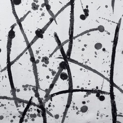 Tissu Pierre Frey - Lo - rf: F2894.001 Noir