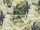 Tissu Pierre Frey - Vahin - rf: F3365.001 Tropical ( dtail )