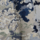 Tissu Mtaphores - Eden - rf: 71422.004 Indigo