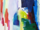 Tissu panoramique Pierre Frey - Karma - rf: F3729.001 Multicolore