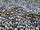 Tissu Pierre Frey - Jungle - rf: F2861.001 Noir