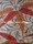 Tissu William Morris - Bamboo - rf: 222527 Russet/Sienna ( dtail )