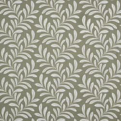 Tissu Braqueni - Goa - rf: B7615.003 Roseau