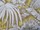 Tissu Jim Thompson - Palm Isle - rf: J3762/01 Citron ( dtail )