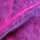 Tissu Antoine d'Albiousse - Velours de Fiacre - Coloris: 56 Pivoine