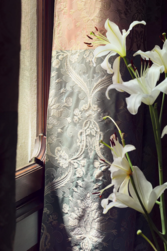 Tissu fadini Borghi - Rialto - rf: I6624