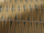 Tissu Fadini Borghi - Vesuvio - réf: I6659.003 Antico