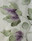 Tissu Sanderson - Fig Harvest - rf: 226327 Figue/Fort ( dtail )