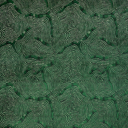 Tissu Pierre Frey - Shabeel - rf: F3855.002 Fort 
