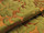 Tissu Tassinari & Chtel - Louis Philippe - rf: 1653.05 Chartreuse