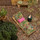 Tissu Manuel Canovas - Bora-Bora - rf: M4171.02 Noir