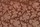 Tissu Casal - Sandro - rf: 12748.90 Palissandre