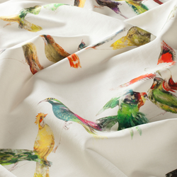 Tissu Chivasso - Birdsong - rf: CH2718/030 Multicolore